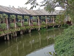 -丹樱生态园
