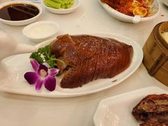 -九花山烤鸭店