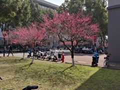 -东南大学(九龙湖校区)