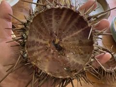 -海胆小馆(东北水饺·春柳店)