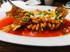 松子桂鱼-乔家栅(襄阳南路店)