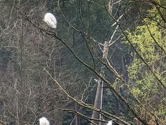 -昆山城市生态森林公园