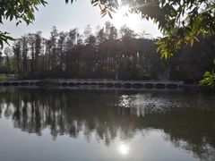 -荔枝公园(福田区)