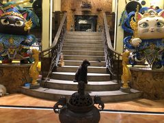 -more than meow吴止猫主题餐厅(承德 中船汇店)