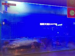 -老板恋上鱼(印象城店)