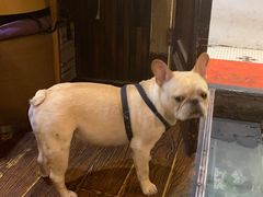 -老味道(田子坊店)