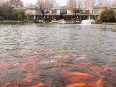 -春晖园度假酒店温泉