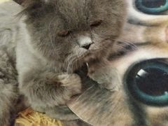 -小时光咖啡馆(开森度假森林店)
