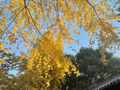 -常熟方塔园