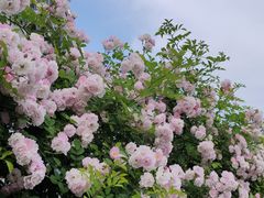 -江南大学(蠡湖校区)