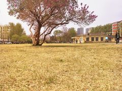 -辽宁大学(崇山校区)