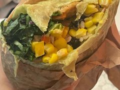 -油梨树 AVOCADO TREE(亮马桥店)