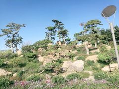 -罗红摄影艺术馆