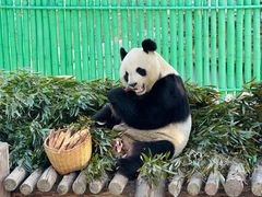 -西霞口神雕山野生动物世界