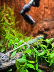 -酷嗒动物文化乐园(cutezoo西溪乐天城店)