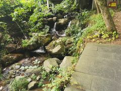 -藏龙百瀑风景区