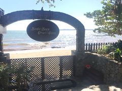 -卷心菜和避孕套餐厅(Pattaya)