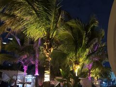 -精酿农场Brew Farm·沙漠绿洲餐厅