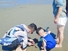 -奉贤海滩