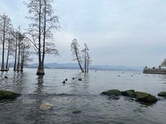 -大理洱海