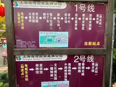 -上海海湾国家森林公园