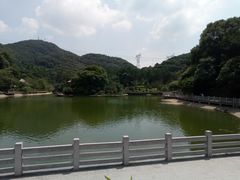 -广州市帽峰山景区