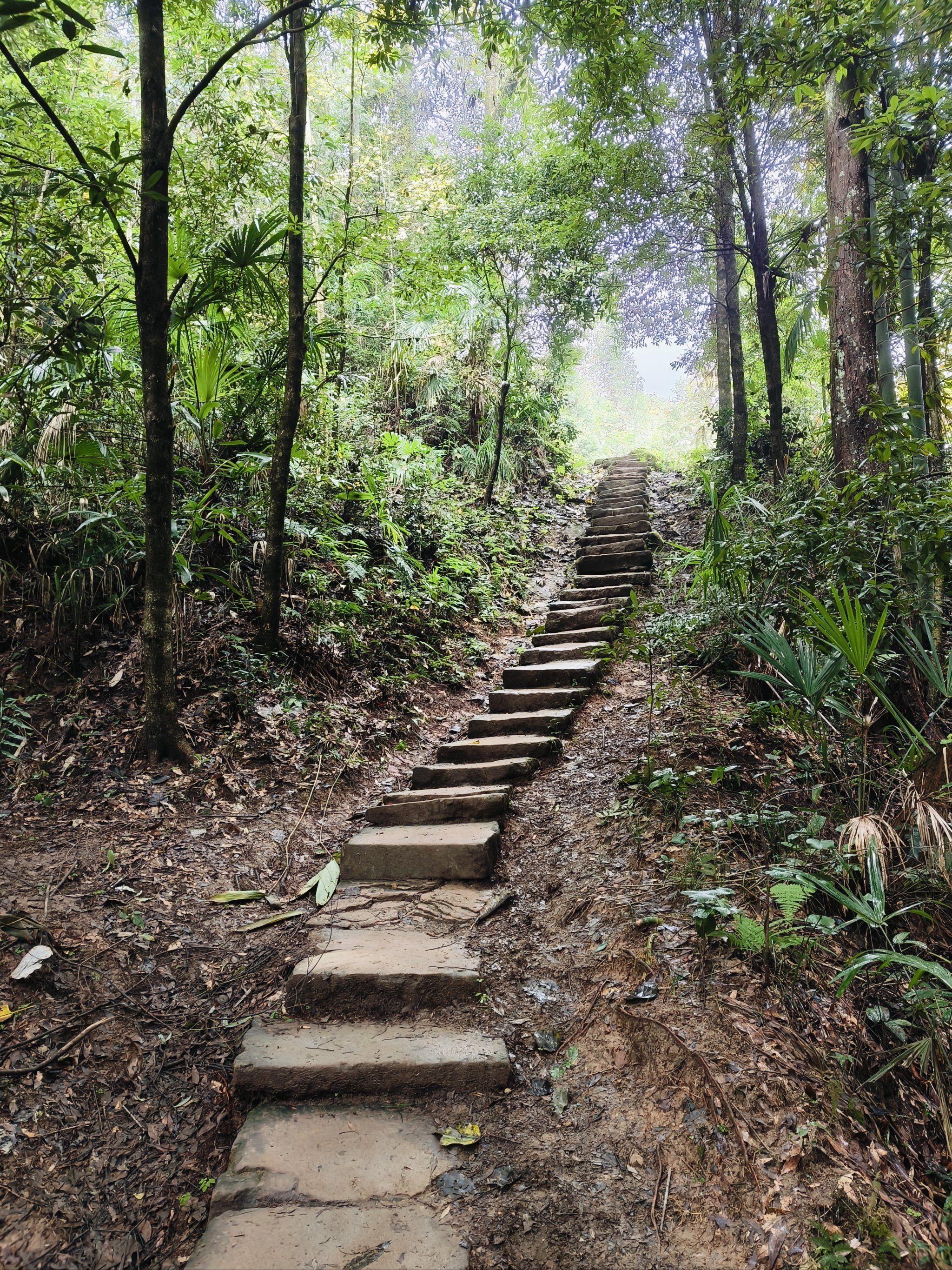曲径通幽的山间路