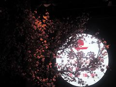 -老淮安·淮安菜(涟水店)