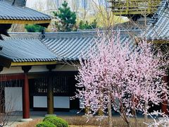 -舍利塔滩地公园-无垢净光舍利塔