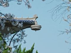 -武汉大学-樱园