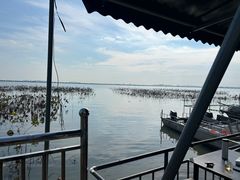 -渔娘蟹庄(阳澄湖莲花岛店)