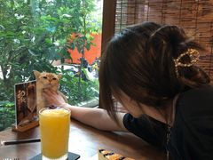 -咖法森林·咖啡  酒吧(天河店)