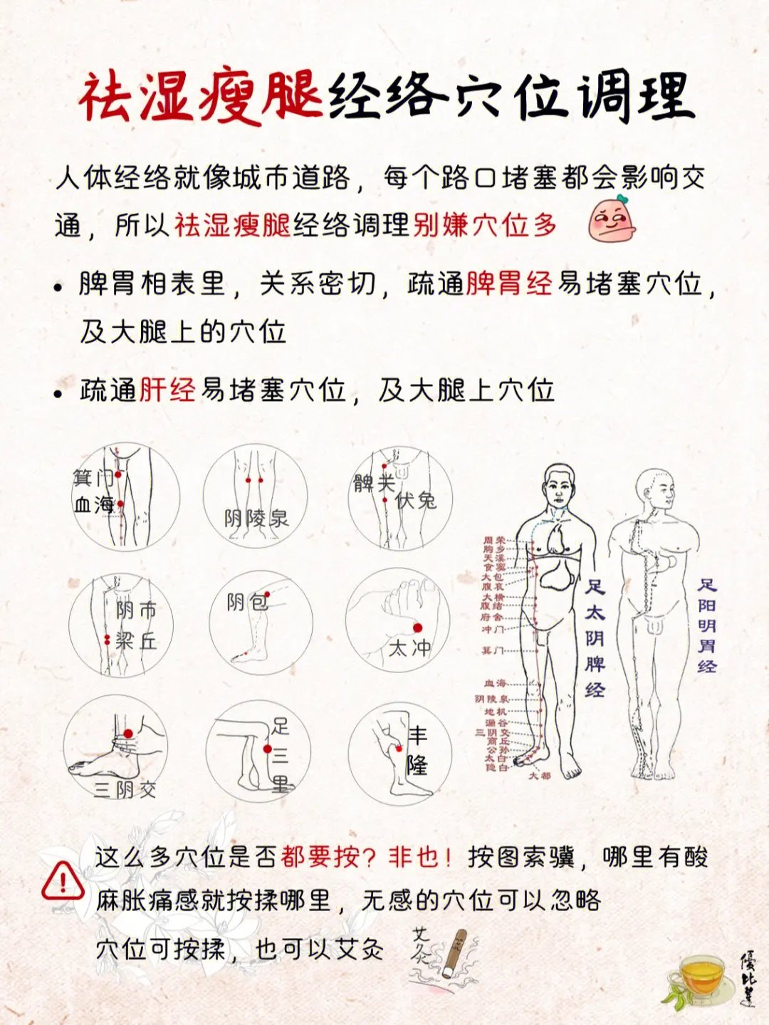 脾经作用图片