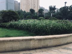 -武汉光谷K11