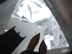 -加拿大国家电视塔