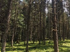 -硗碛藏寨·神木垒景区