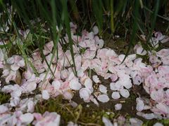 -杭州城北体育公园