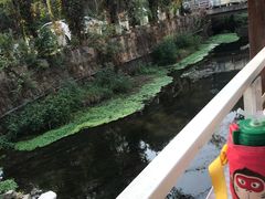 -Local泰莲庭(虹鳟鱼店)
