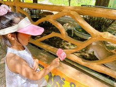 -鄂尔多斯野生动物园