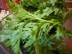-南门四季铜锅涮肉(左家庄店)