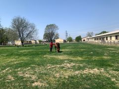 -北京群众马术培训基地