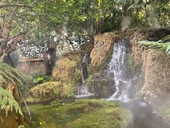 -Chom Cafe and Restaurant