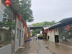 -姚林轩