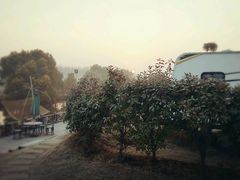 -明珠湖天鹅苑·农家菜馆