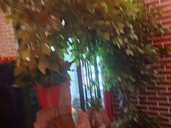 -老诚一锅(来北家园店)