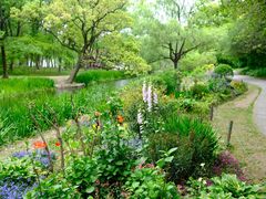 -上海共青森林公园