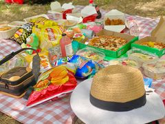 -朝阳公园游乐园