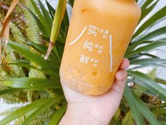 -野萃山·潮汕厚果汁(十亩地店)