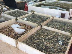 -新城区农贸市场