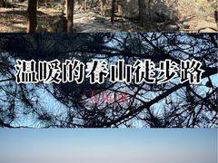 -大觉寺-停车场